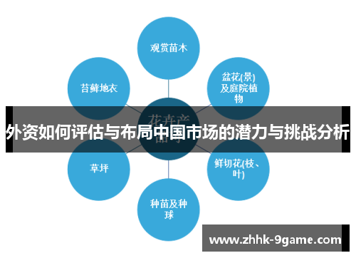 外资如何评估与布局中国市场的潜力与挑战分析 外资如何评估与布局中国市场的潜力与挑战分析