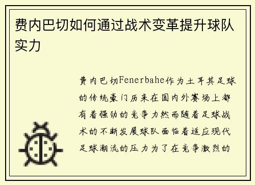费内巴切如何通过战术变革提升球队实力